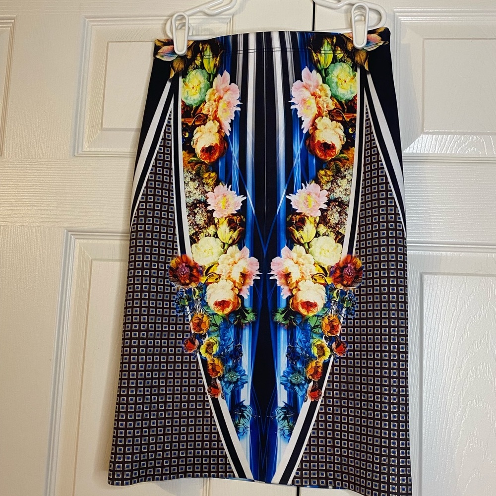 Clover Canyon Skirt (Small)